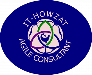 IT howzat logo